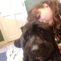 New Paltz Animal Hospital ico
