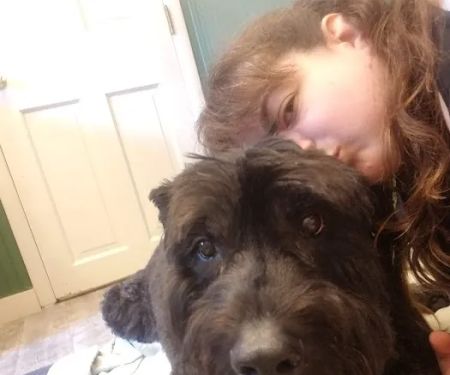 New Paltz Animal Hospital