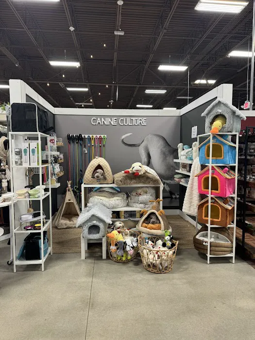 Canine Culture Gastonia, NC,28054 Picture 6