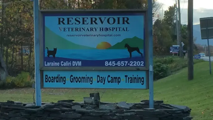 Reservoir Veterinary Hospital Picture 6