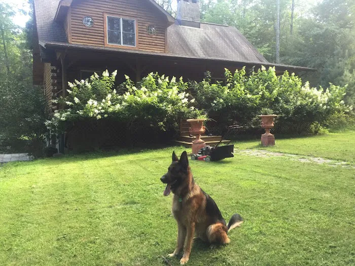 Reservoir Veterinary Hospital Picture 4