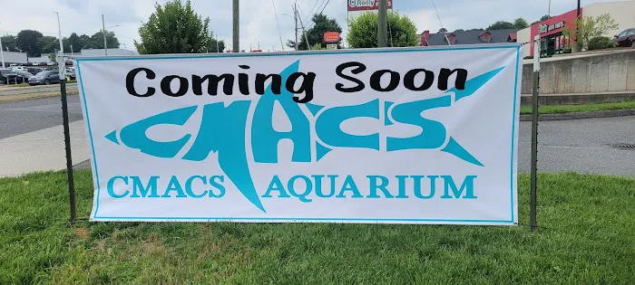 CMACS Aquarium - Gastonia Picture 2