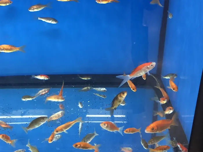 Petco Picture 7