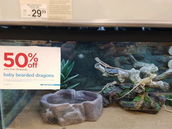 Petco Picture 10