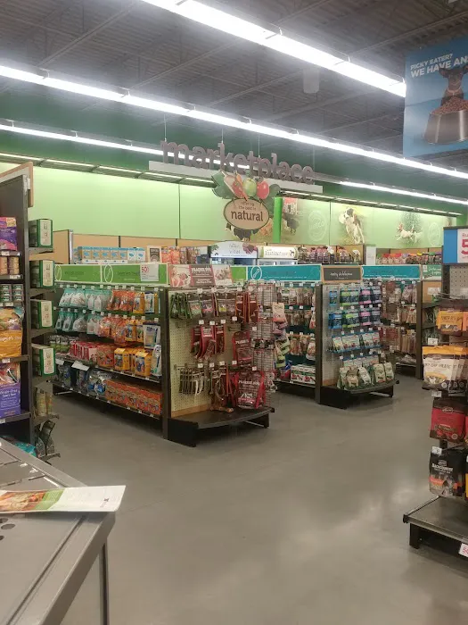 Petco Picture 8