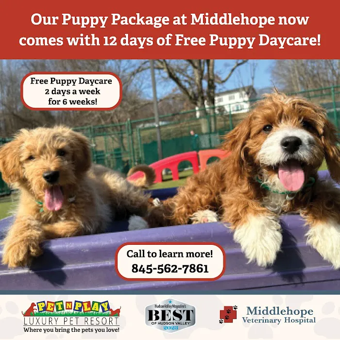 Middlehope Veterinary Hospital Picture 4