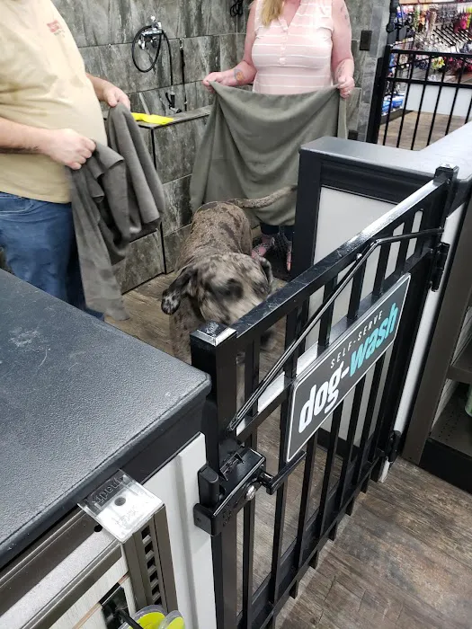 Pet Supermarket Picture 7