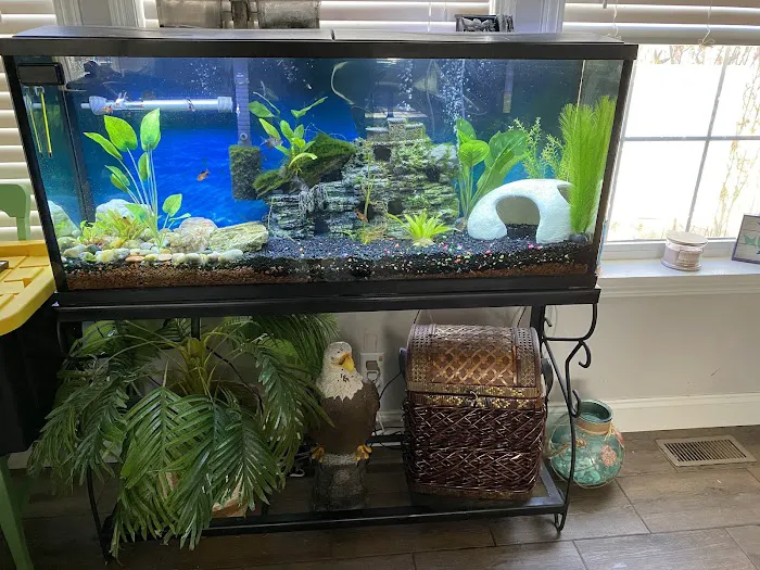 Pet Supermarket Picture 4