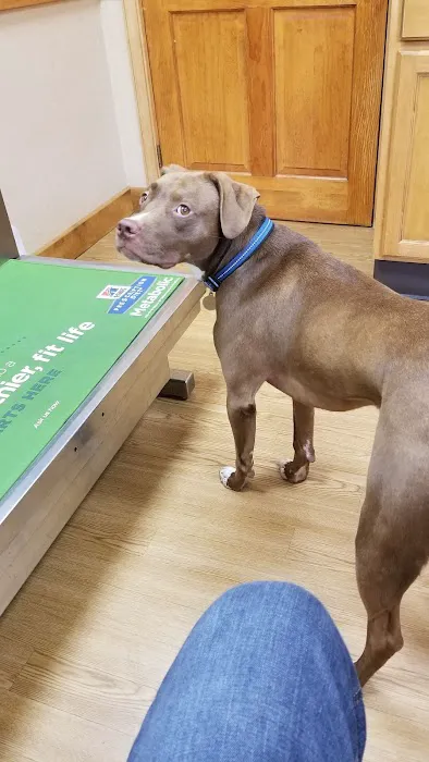 Companion Pet Hospital Picture 8
