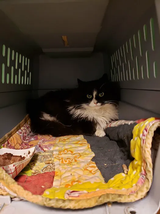 Companion Pet Hospital Picture 9