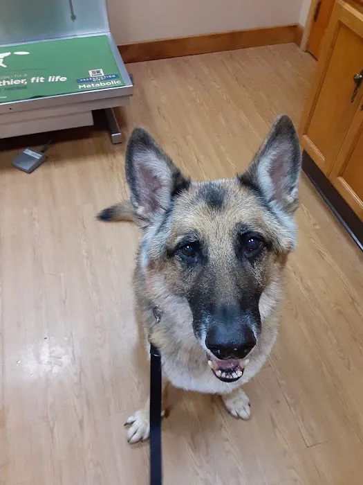Companion Pet Hospital Picture 4
