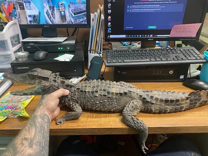 K-BAM Exotic Pet Store 2 Picture 10
