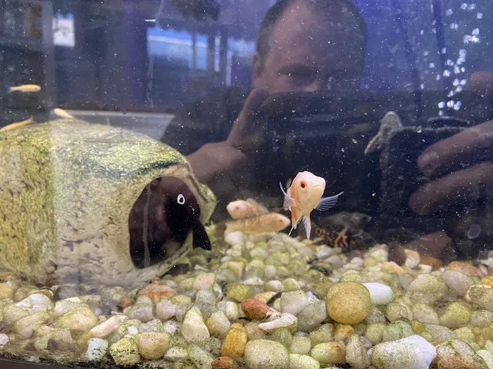 K-BAM Exotic Pet Store 2 Picture 8