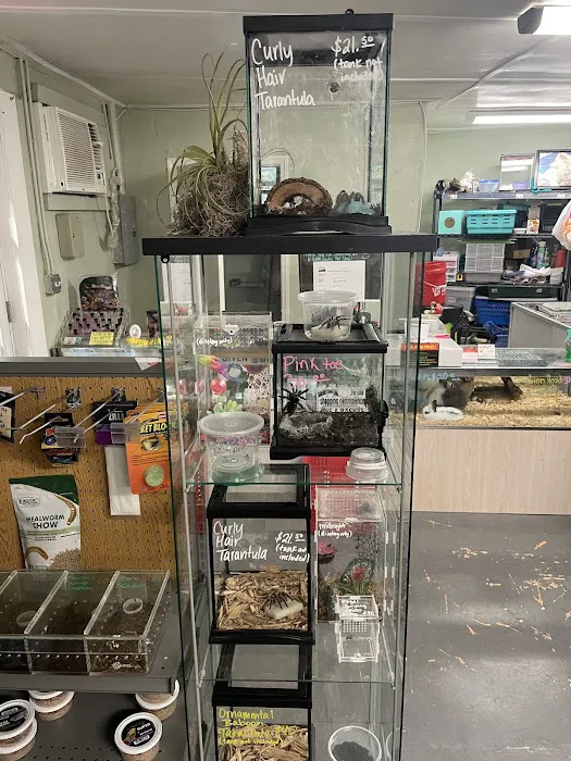K-BAM Exotic Pet Store 2 Picture 2
