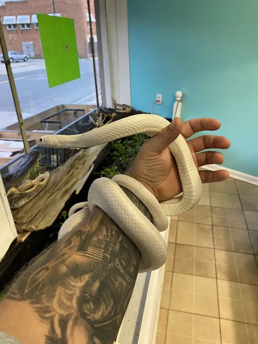 K-BAM Exotic Pet Store Picture 5