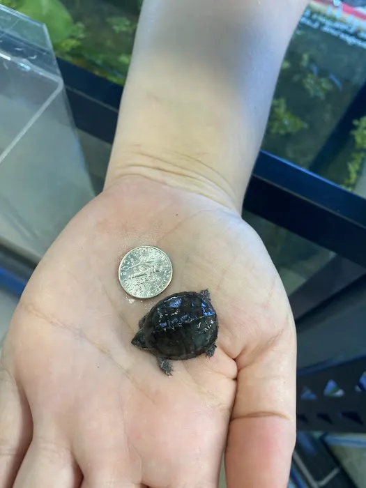 K-BAM Exotic Pet Store Picture 6