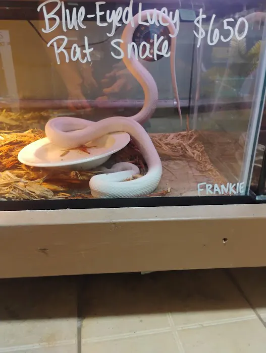 K-BAM Exotic Pet Store Picture 8