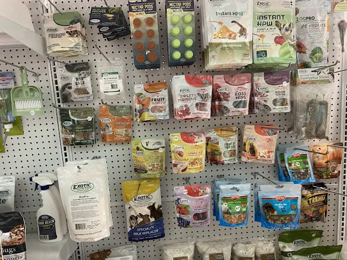K-BAM Exotic Pet Store Picture 2