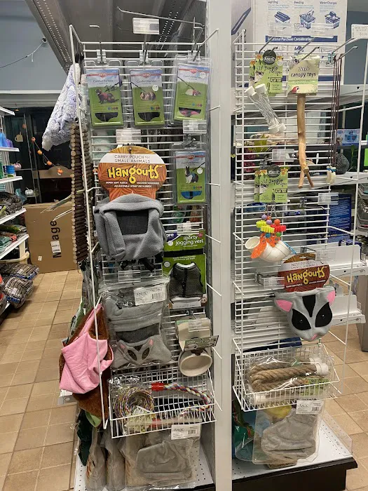 K-BAM Exotic Pet Store Picture 9