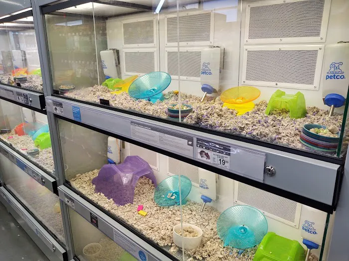 Petco Picture 9