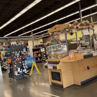 Petco ico