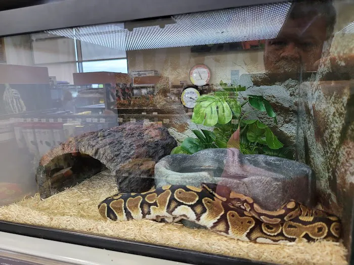 Petco Picture 4