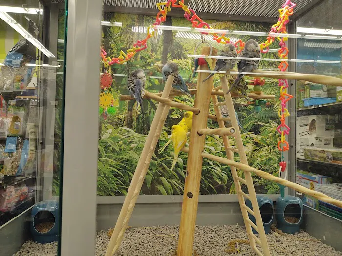 Petco Picture 10