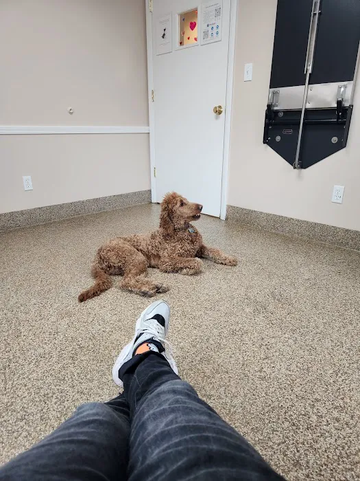 North Westchester Veterinary Office Picture 2