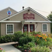 North Westchester Veterinary Office ico