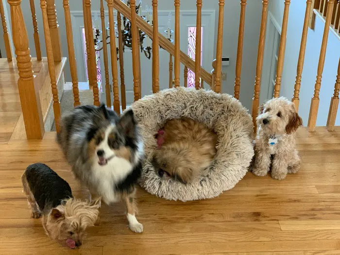 North Westchester Veterinary Office Picture 7