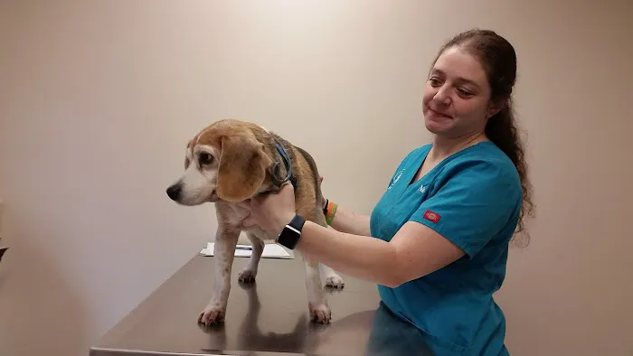North Westchester Veterinary Office Picture 3