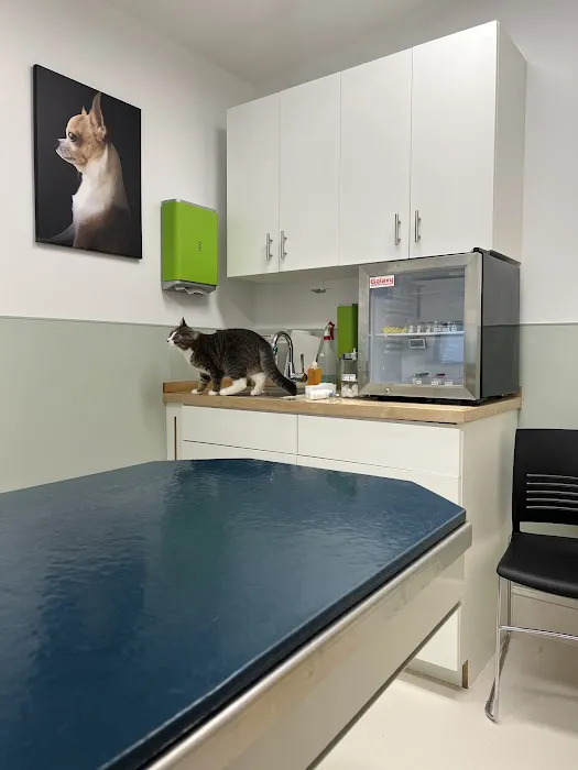 Peekskill-Cortlandt Animal Hospital Picture 3