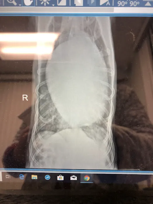 Peekskill-Cortlandt Animal Hospital Picture 2