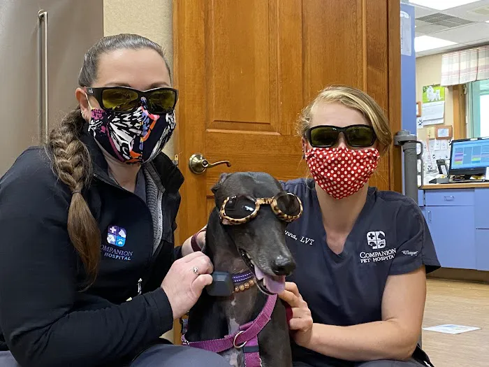 Companion Pet Hospital of Fishkill: Selzner Alisha DVM Picture 1