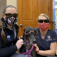 Companion Pet Hospital of Fishkill: Selzner Alisha DVM ico