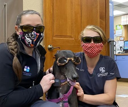 Companion Pet Hospital of Fishkill: Selzner Alisha DVM