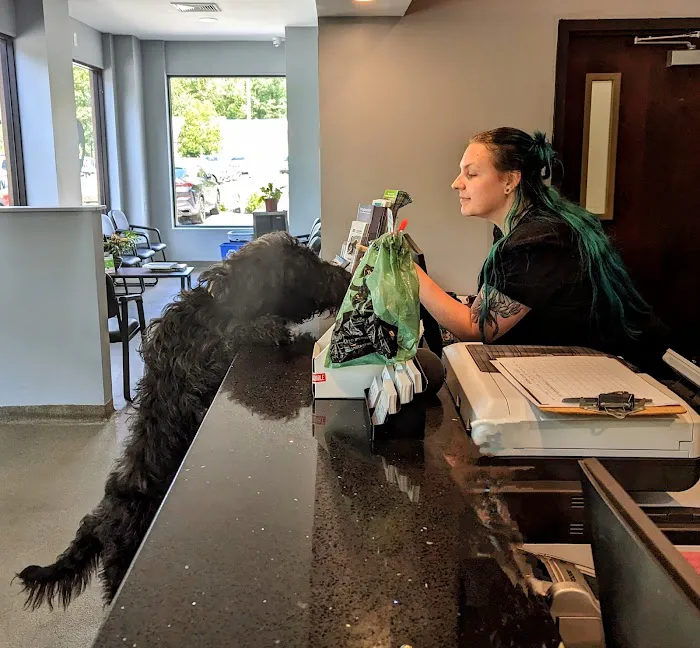Taconic Veterinary Center Picture 10