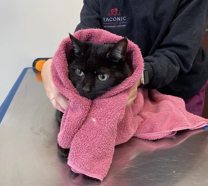 Taconic Veterinary Center Picture 1