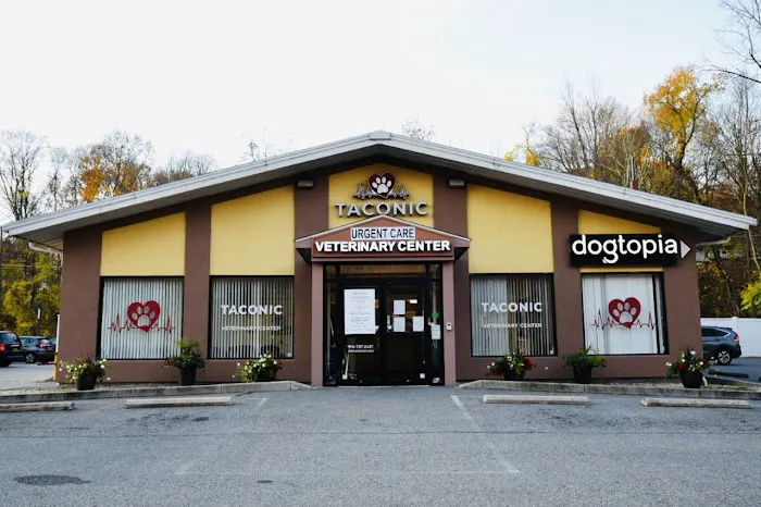 Taconic Veterinary Center Picture 2