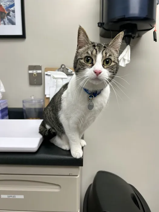 Taconic Veterinary Center Picture 4