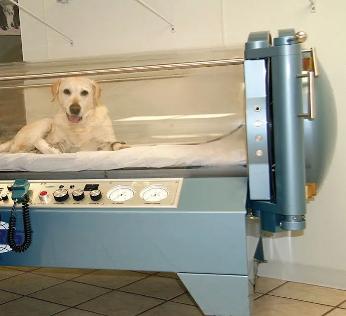 Taconic Veterinary Center Picture 7