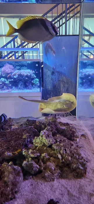 Aquatica Picture 2
