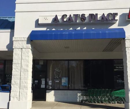 A Cat's Place Veterinary Hospital PC