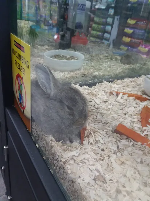 Pet Supermarket Picture 9