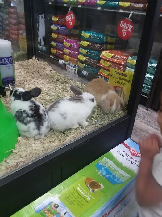 Pet Supermarket Picture 10