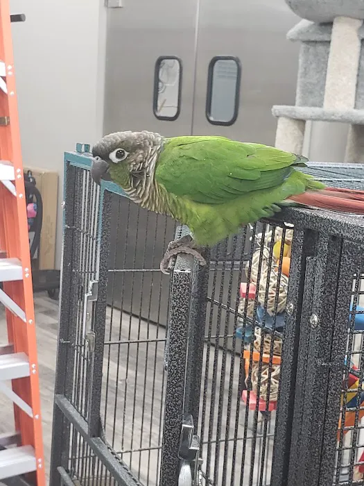 Pet Supermarket Picture 6