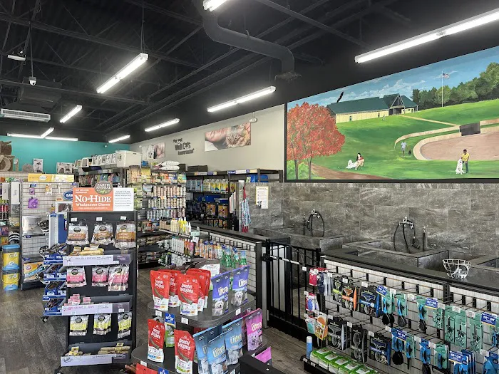 Pet Supermarket Picture 4