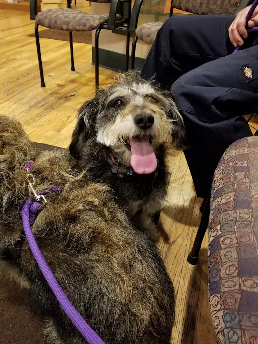 Hudson Highlands Veterinary Medical Group - Hopewell Junction Picture 7