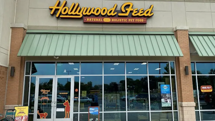 Hollywood Feed Picture 1