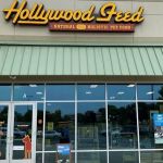 Hollywood Feed
